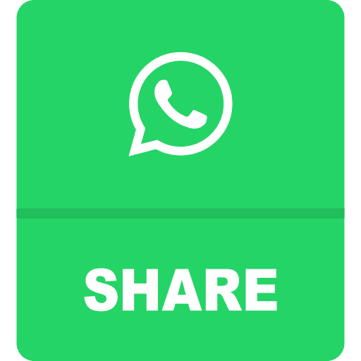 WhatsApp icon